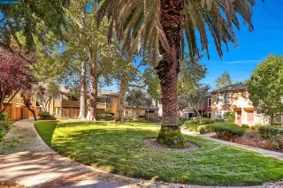 Photo #5: 41073432 Listing