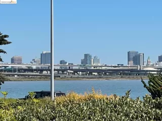 Photo #3: 41073522 Listing