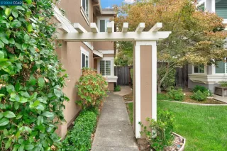 Photo #1: 41073549 Listing 