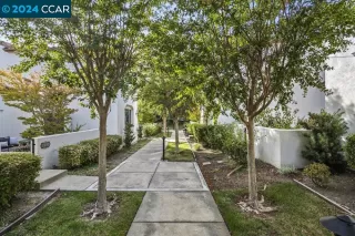 Photo #2: 41073617 Listing