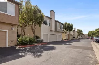 Photo #1: 41073763 Listing