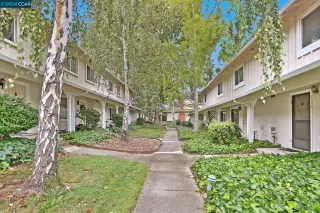 Photo #1: 41073982 Listing 