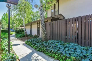 Photo #1: 41074412 Listing