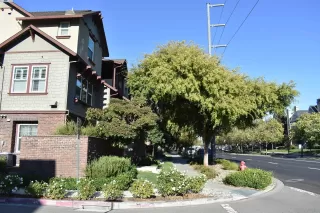 Photo #2: 41074418 Listing 