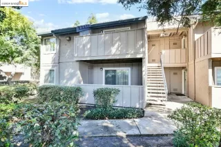 Photo #1: 41074549 Listing 