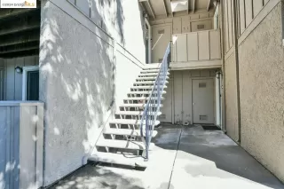 Photo #2: 41074549 Listing 