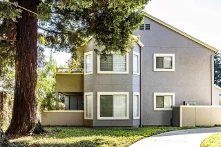 Photo #1: 41074751 Listing 