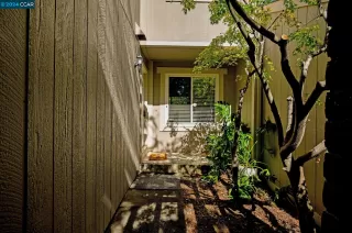 Photo #2: 41074756 Listing 