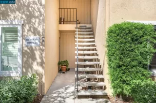 Photo #1: 41074873 Listing