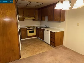 Photo #1: 41075013 Listing