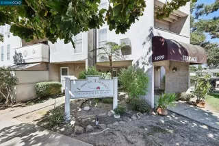 Photo #1: 41075039 Listing