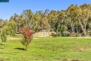 Photo #3: 41075083 Listing