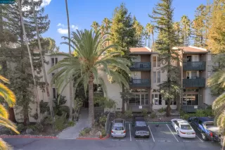 Photo #2: 41075107 Listing