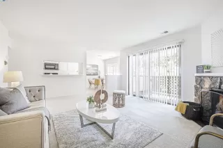 Photo #1: 41075317 Listing 