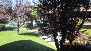 Photo #2: 41075341 Listing 