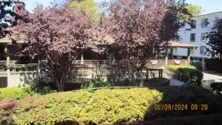 Photo #3: 41075341 Listing 