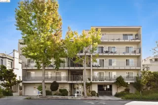 Photo #1: 41075392 Listing 