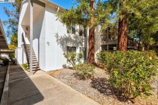 Photo #1: 41075503 Listing