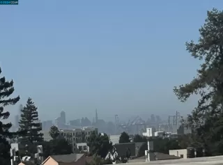 Photo #1: 41075580 Listing