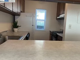 Photo #5: 41076236 Listing