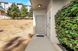 Photo #2: 41076554 Listing