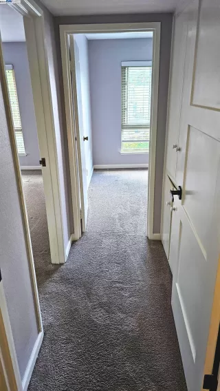 Photo #3: 41076584 Listing 