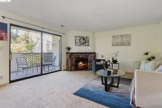 Photo #1: 41076735 Listing 