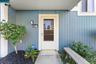 Photo #1: 41076996 Listing