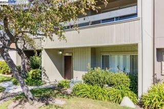 Photo #2: 41077460 Listing