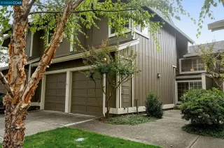 Photo #1: 41077889 Listing