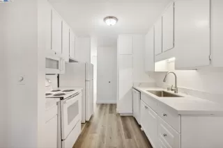 Photo #1: 41078116 Listing