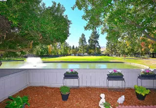 Photo #1: 41078331 Listing