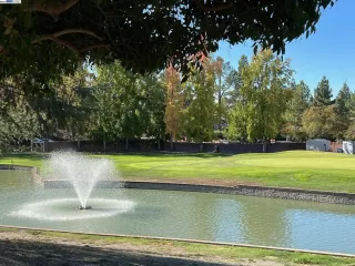 Photo #2: 41078331 Listing