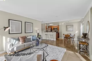 Photo #1: 41078458 Listing 