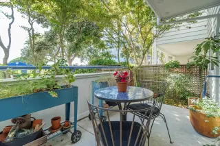 Photo #1: 41078797 Listing