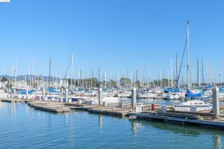 Photo #2: 41078797 Listing