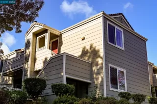 Photo #1: 41078822 Listing