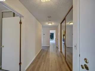 Photo #1: 41078827 Listing 