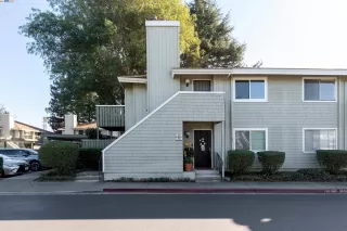 Photo #1: 41078842 Listing 