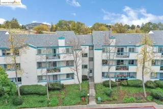 Photo #1: 41079471 Listing