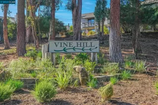 Photo #1: 41079752 Listing 