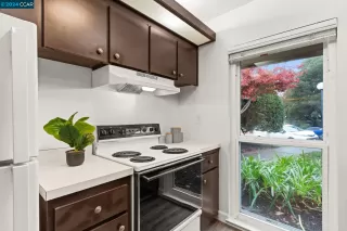 Photo #5: 41079871 Listing 