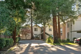 Photo #6: 41080371 Listing 