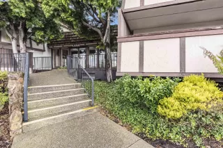 Photo #4: 41080535 Listing