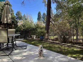 Photo #1: 41080706 Listing