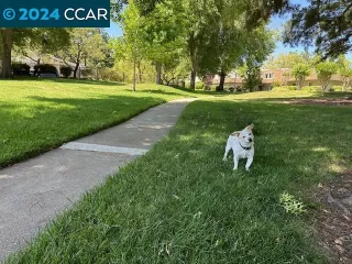 Photo #2: 41080706 Listing