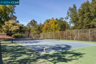 Photo #4: 41080706 Listing