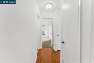 Photo #5: 41080873 Listing