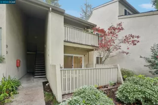 Photo #1: 41080920 Listing 