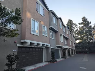 Photo #1: 41081187 Listing 